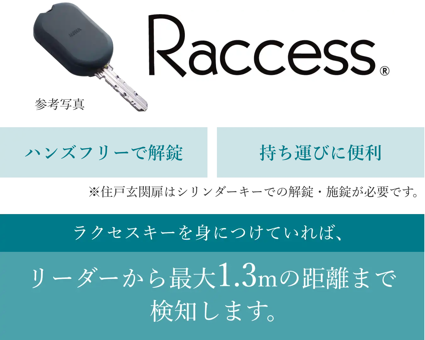 Raccess 参考写真