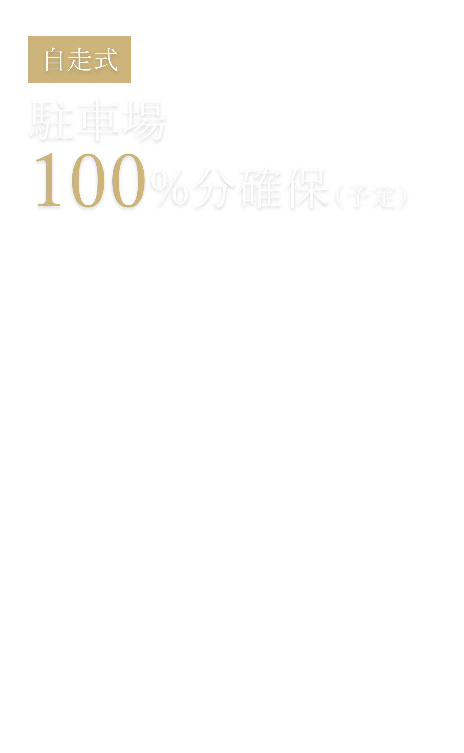 自走式 駐車場設置率100%