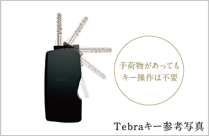 Tebraキー