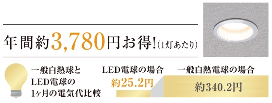 年間約3,780円お得！（１灯あたり）